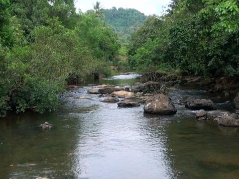 Souparnika River Image 1